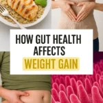 How Gut Health Affects Weight Gain